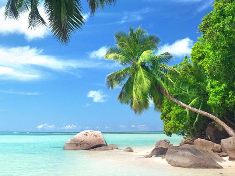 Goa