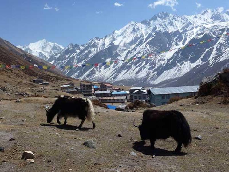 Langtang National Park