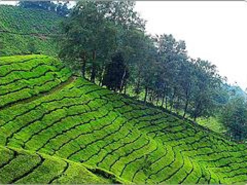 Munnar