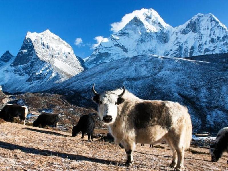 Sagarmatha National Park